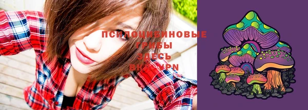 твердый Вязники