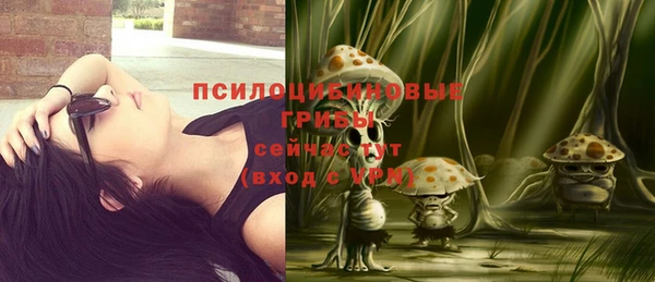 первитин Сатка
