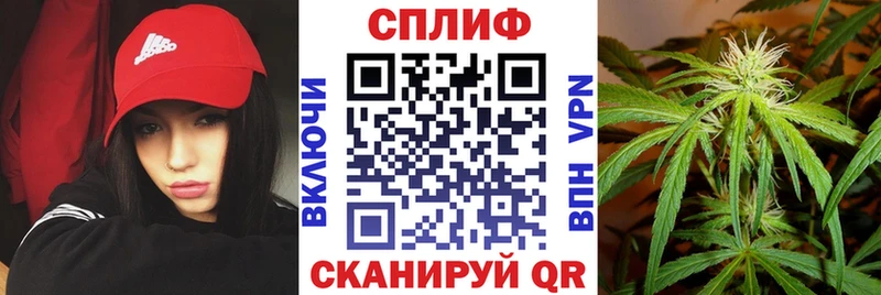 Шишки марихуана Bruce Banner  Изобильный 